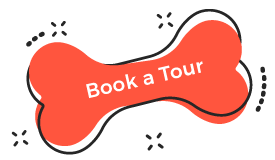 http://pethabit.net/wp-content/uploads/2019/08/book_tour.png